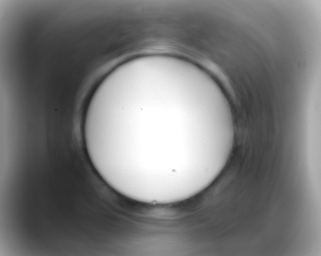 X0000088051464200706011333