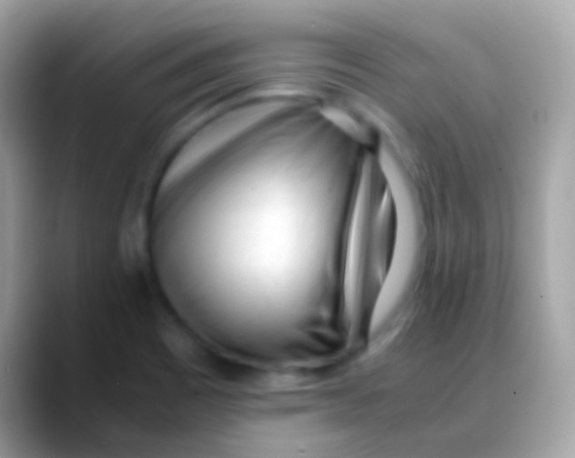 X0000088051465200706011333