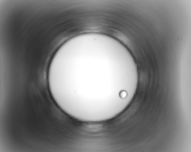 X0000088051466200706011333