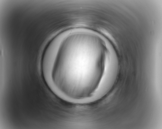 X0000088051469200706011333