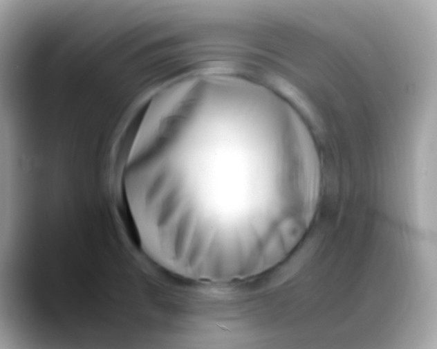 X0000088051473200706011333