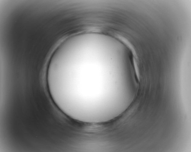 X0000088051475200706011333