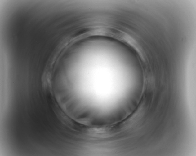 X0000088051481200706011333