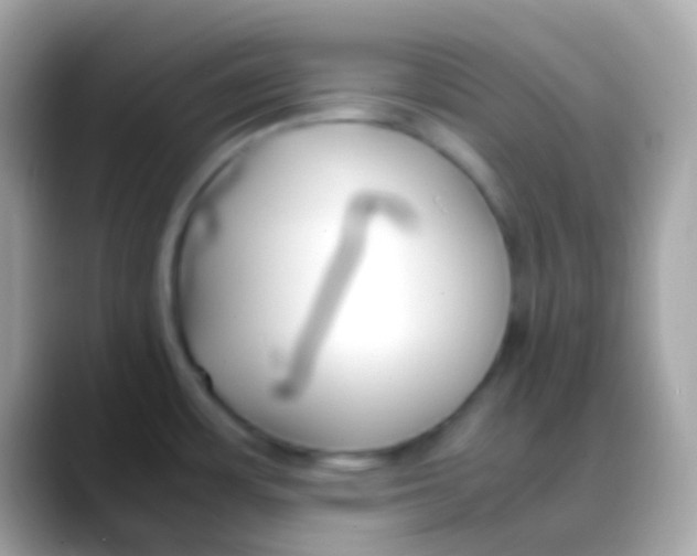 X0000088051483200706011333