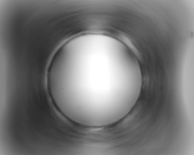 X0000088051484200706011333