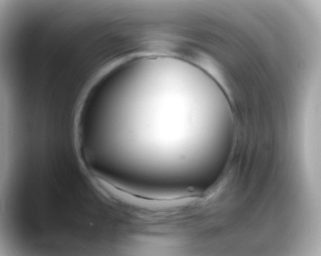 X0000088051485200706011333