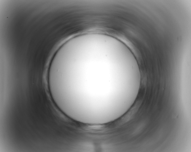 X0000088051486200706011333