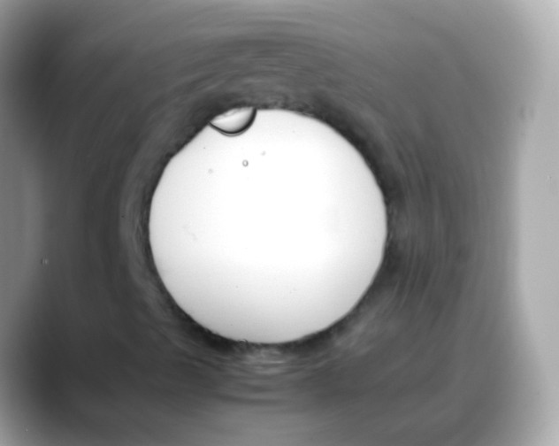 X0000088051489200706011332