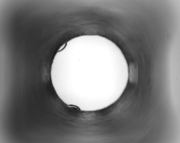 X0000088051491200706011332