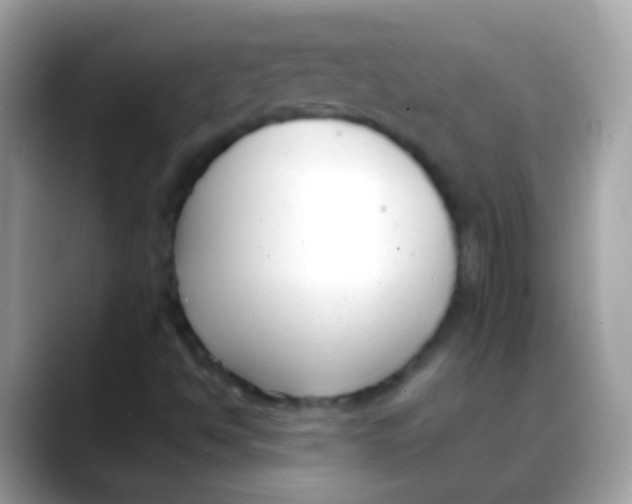 X0000088051494200706011332