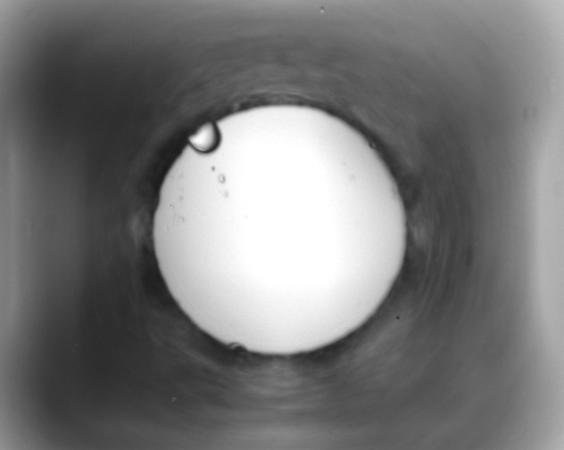 X0000088051495200706011332