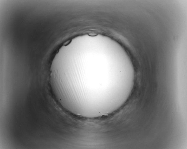 X0000088051496200706011332