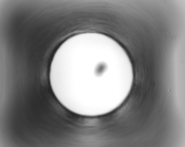 X0000088051498200706011332