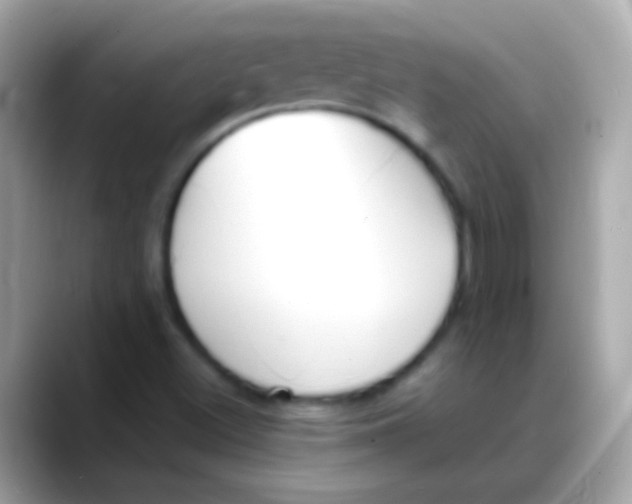X0000088051500200706011332