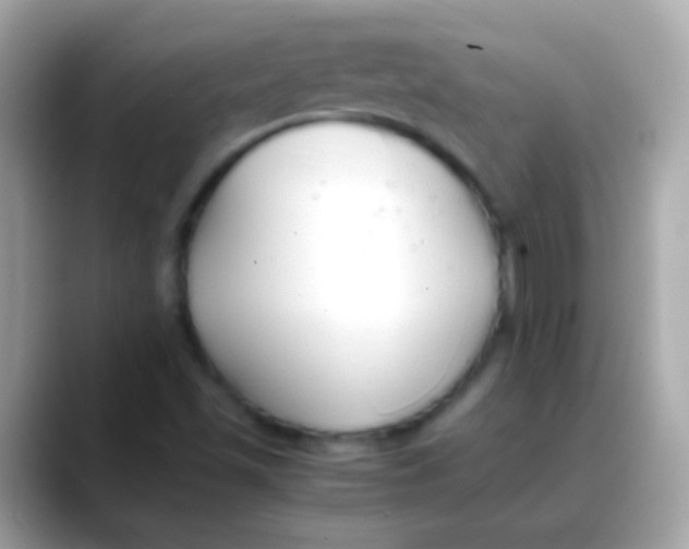 X0000088051501200706011332