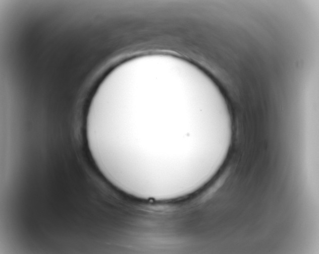 X0000088051502200706011332