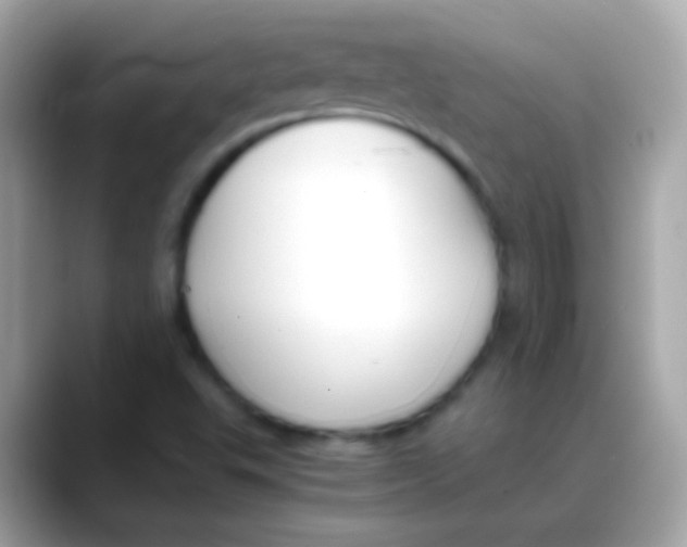 X0000088051503200706011332
