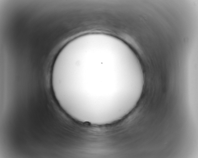 X0000088051504200706011332