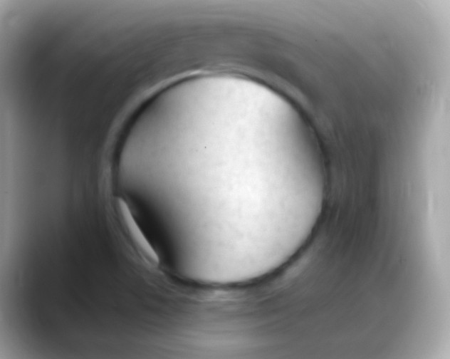 X0000088051506200706011333