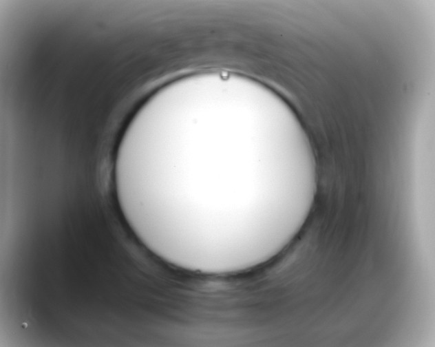 X0000088051507200706011333