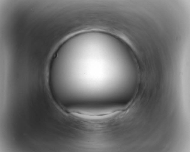 X0000088051508200706011333