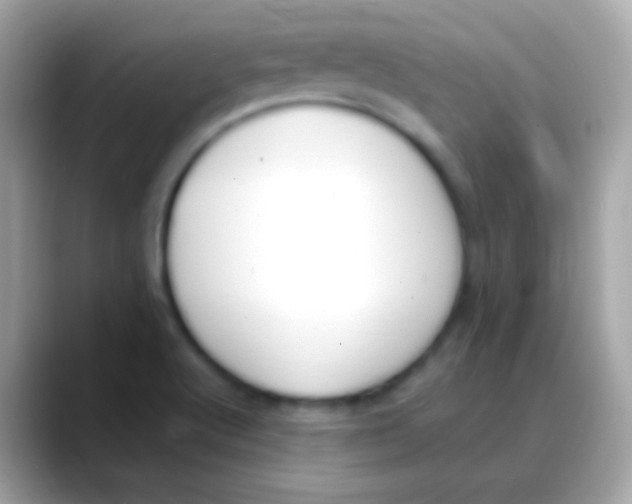 X0000088051512200706011333