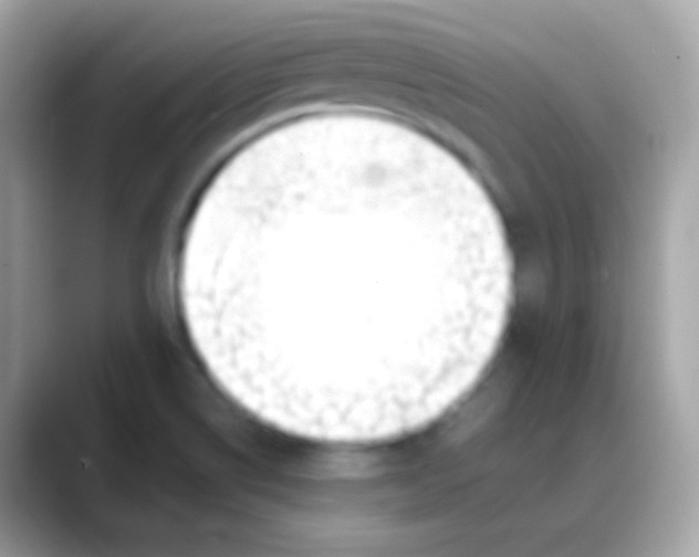 X0000088051514200706011333