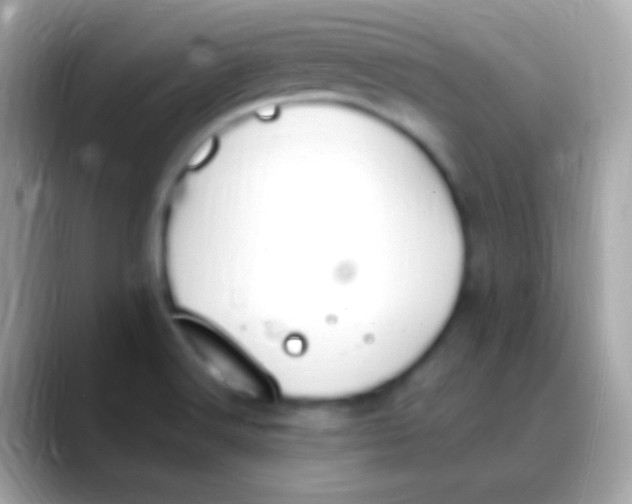 X0000088051516200706011333