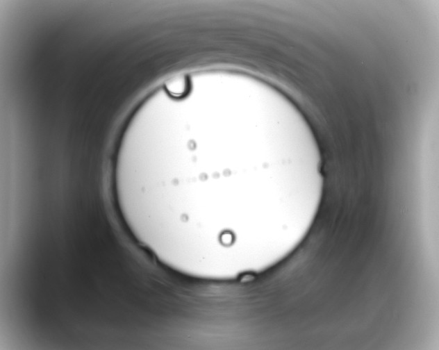 X0000088051518200706011333