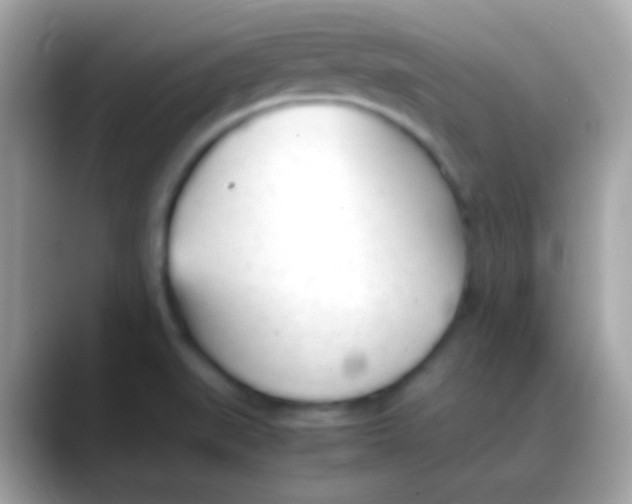 X0000088051519200706011333