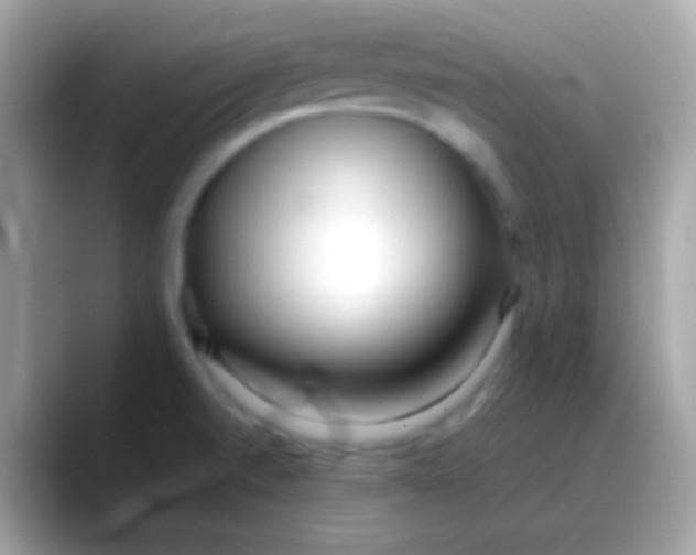 X0000088051520200706011333