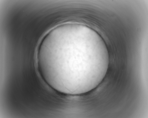 X0000088051522200706011333