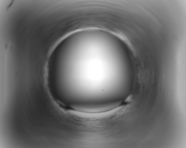 X0000088051524200706011333