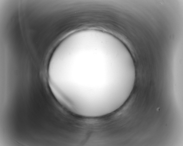 X0000088051525200706011333