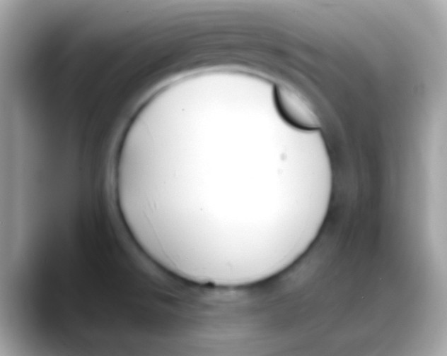 X0000088051526200706011333