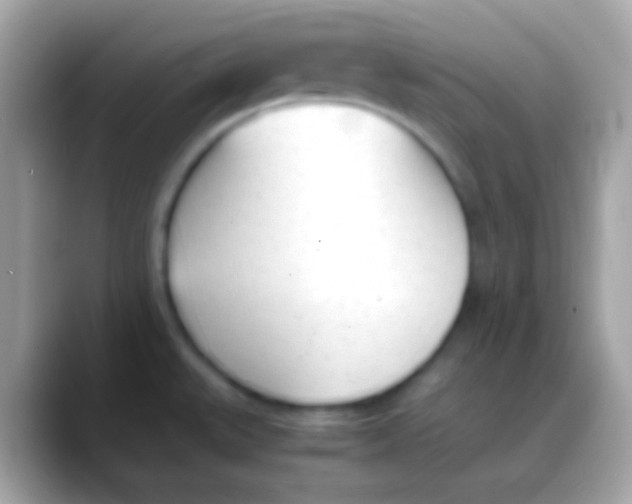 X0000088051527200706011333