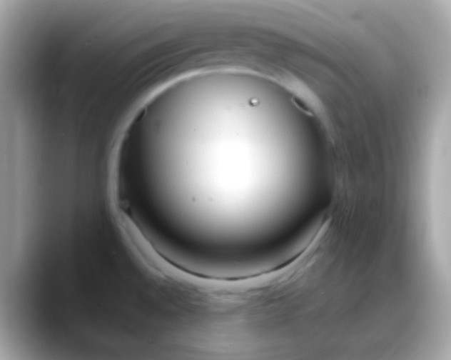 X0000088051528200706011333