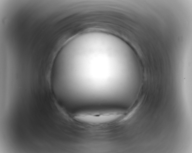 X0000088051529200706011333