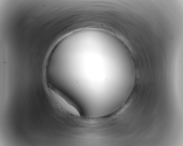 X0000088051530200706011333