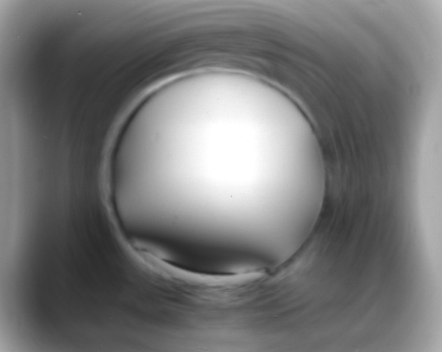 X0000088051531200706011333