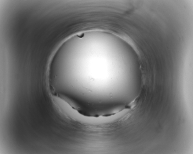 X0000088051532200706011333