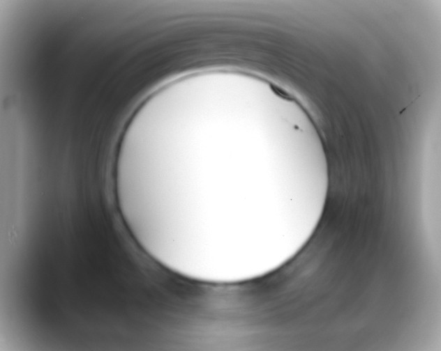 X0000088051534200706011333