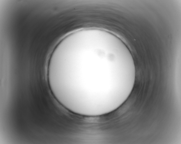 X0000088051535200706011333