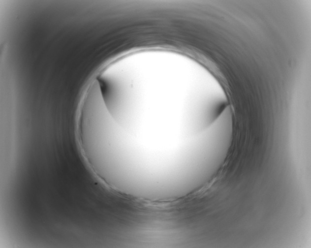 X0000088051536200706011333