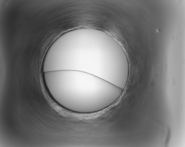 X0000088050001200706081639