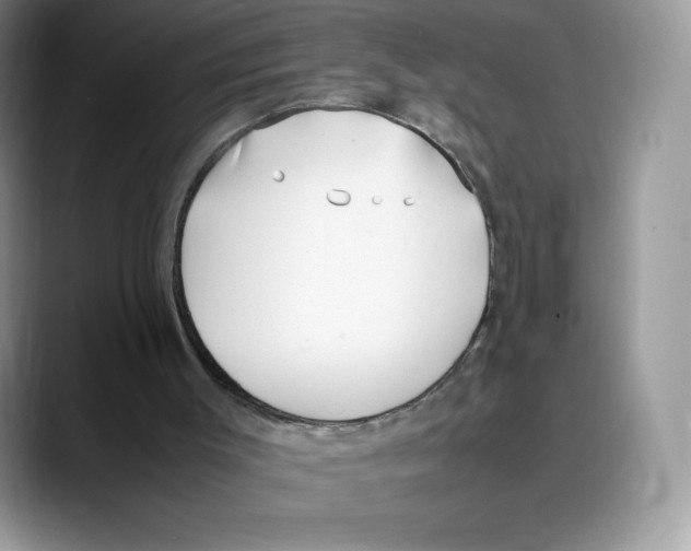 X0000088050003200706081639