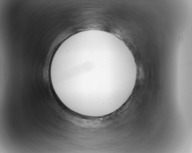 X0000088050004200706081639
