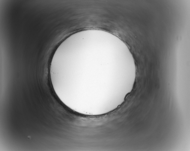 X0000088050005200706081639