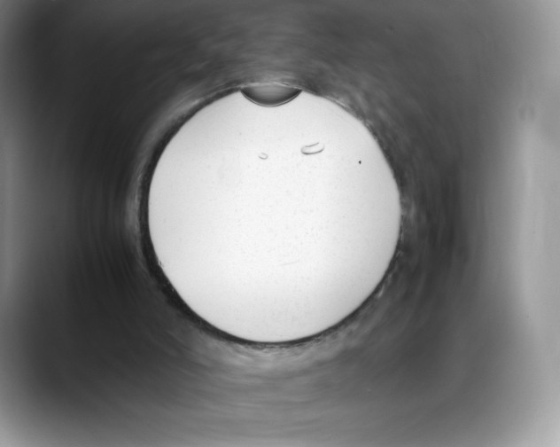 X0000088050006200706081638