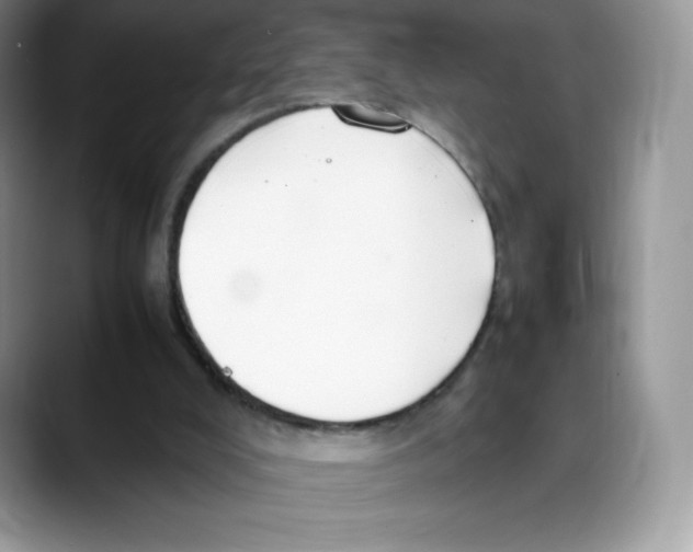X0000088050008200706081638